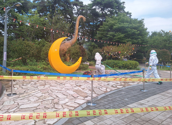 Quinze touristes attaqués par un essaim de guêpes lors d’une sortie en téléphérique à Songdo, Busan 케이블카 타러 갔다 말벌 떼 ‘날벼락…부산 송도서 관광객 15명 쏘여.jpg